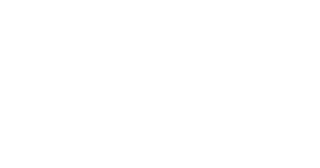Phoenix Brands logo